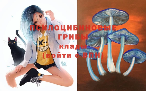 амфетамин Арсеньев